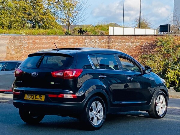 Used Kia Sportage 2013 for sale - 76175626: Photo 15