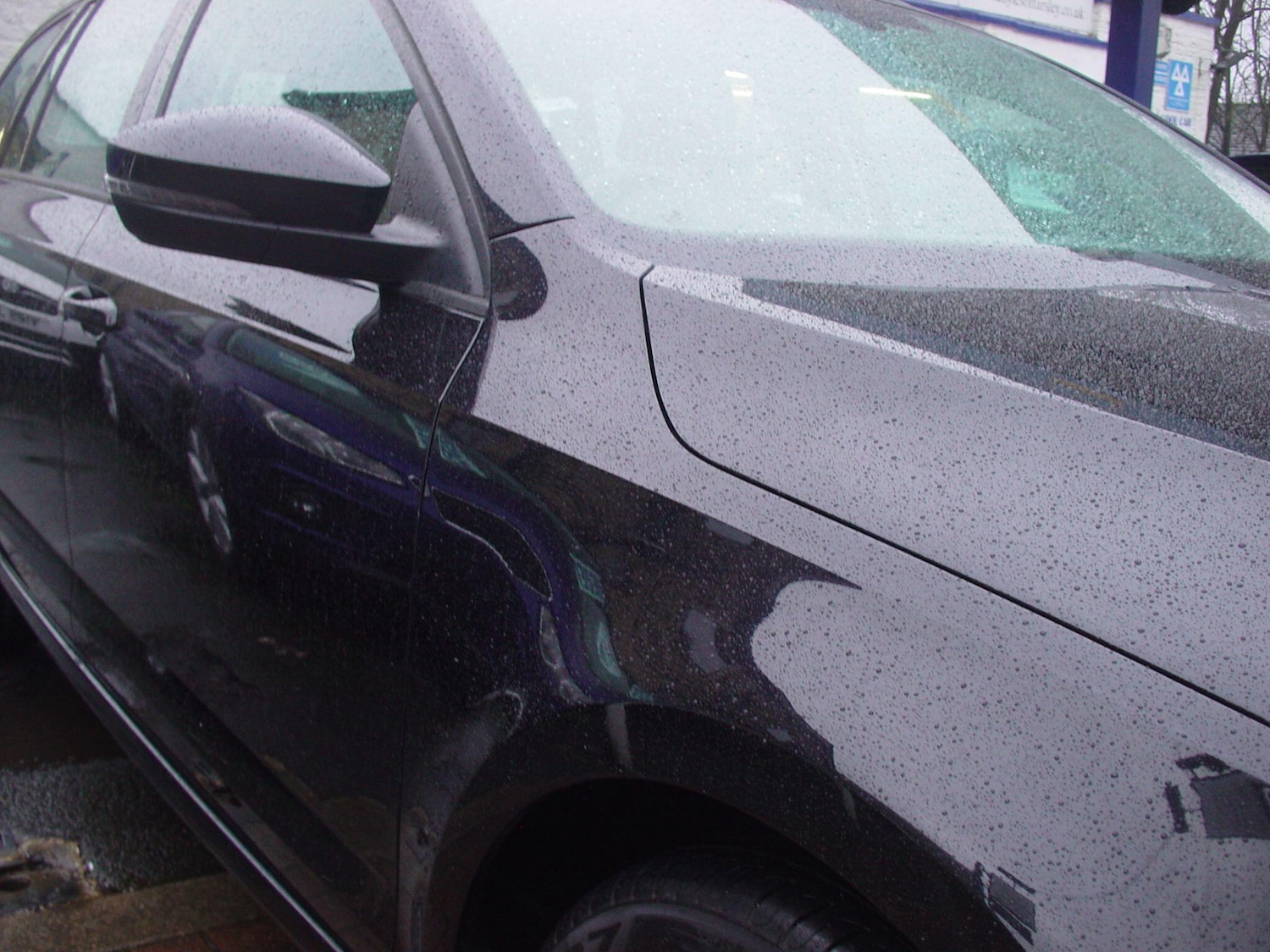 Used Skoda Octavia 2016 for sale - 77824507: Photo 17