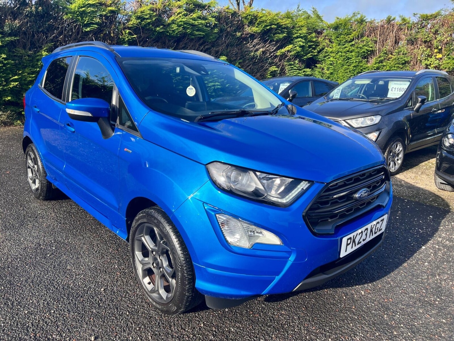 Used Ford Ecosport 2023 for sale - 76375507: Photo 17