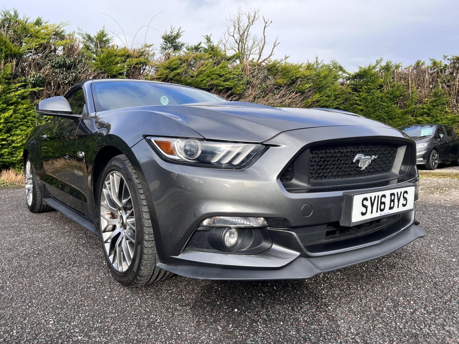 Used Ford Mustang 2016 for sale - 77504309: Photo 10