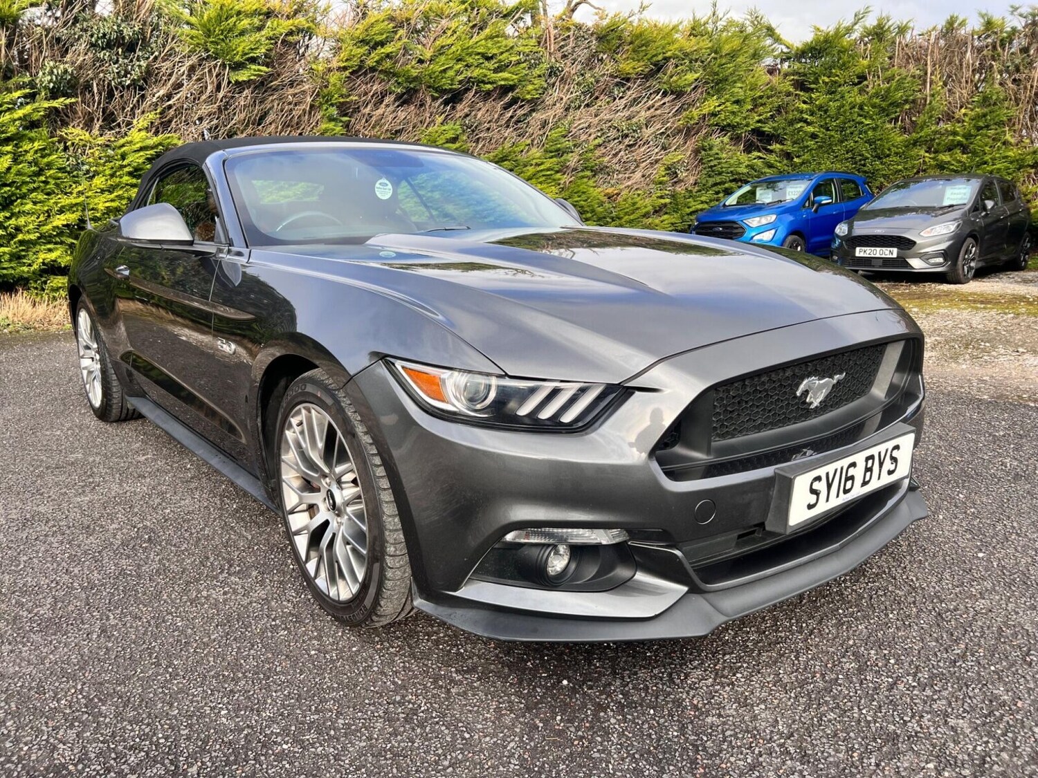 Used Ford Mustang 2016 for sale - 77504309: Photo 11