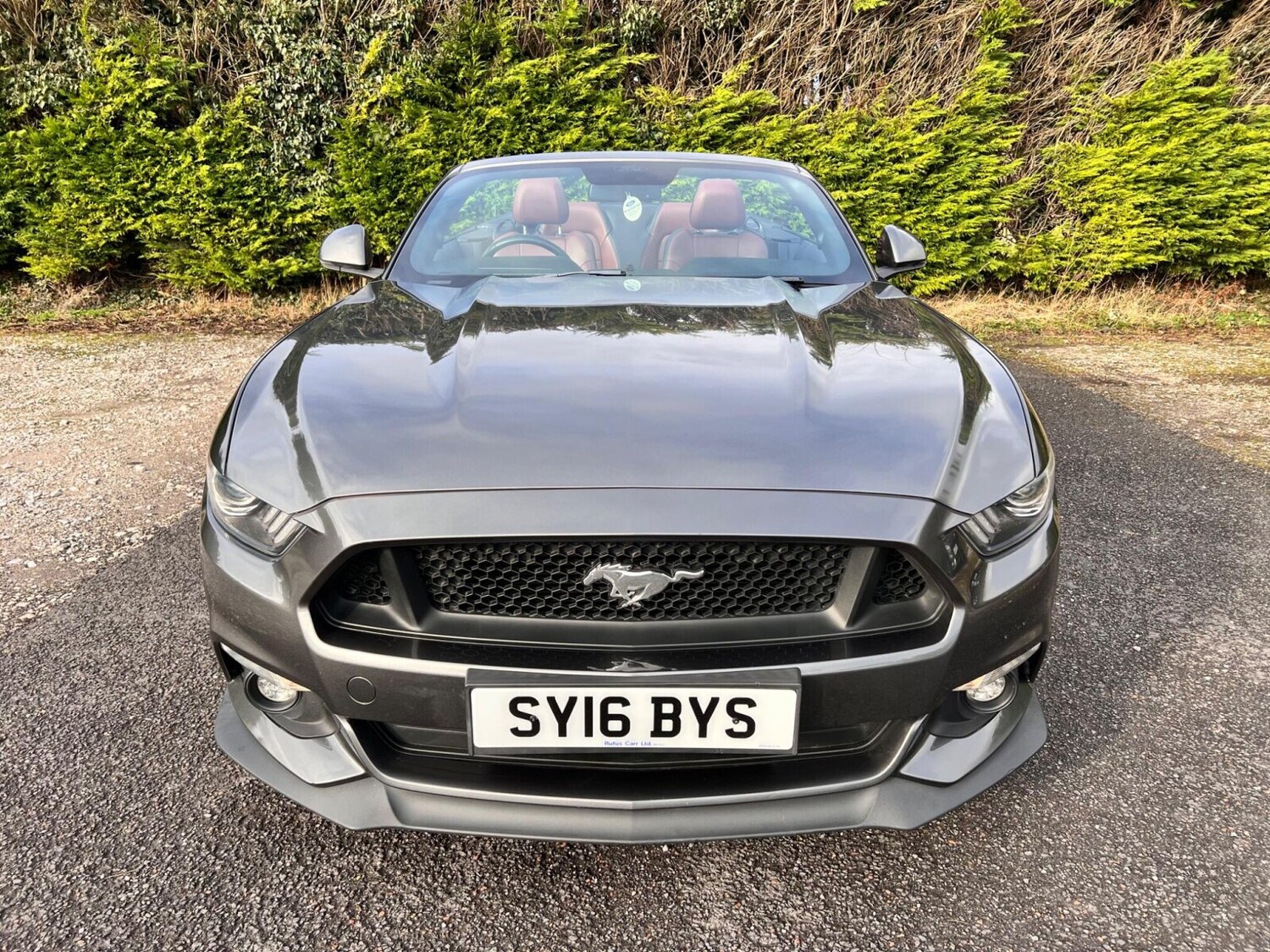 Used Ford Mustang 2016 for sale - 77504309: Photo 13