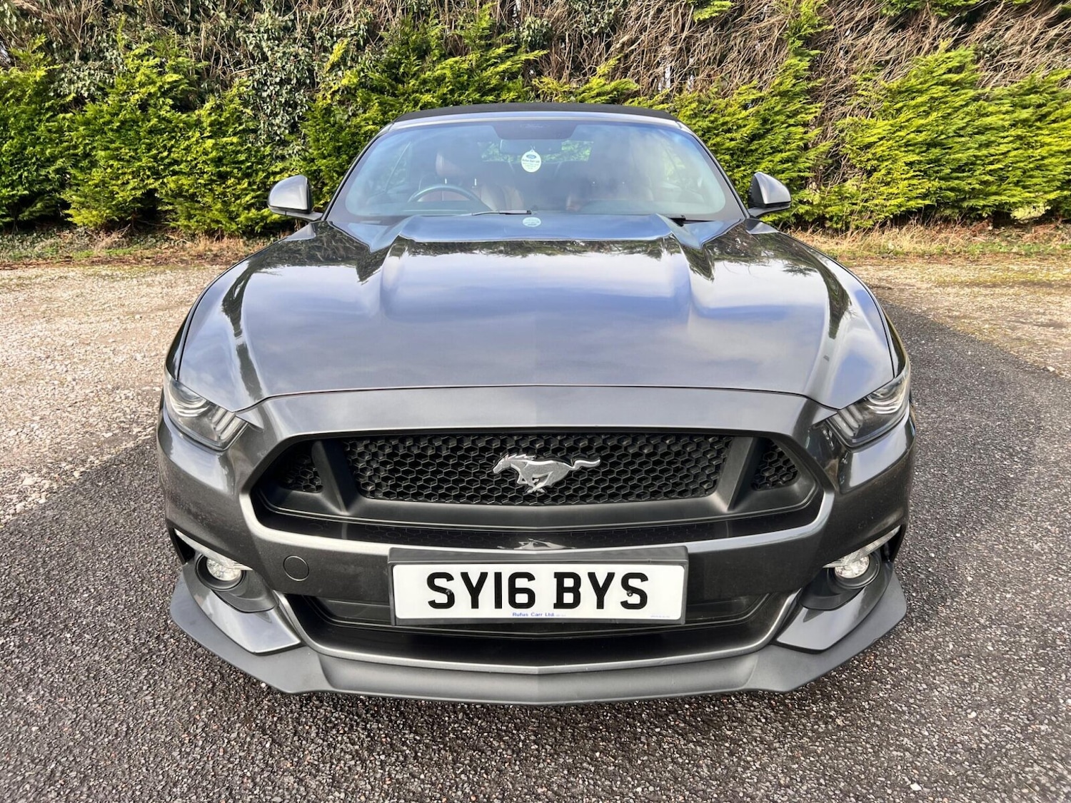 Used Ford Mustang 2016 for sale - 77504309: Photo 2