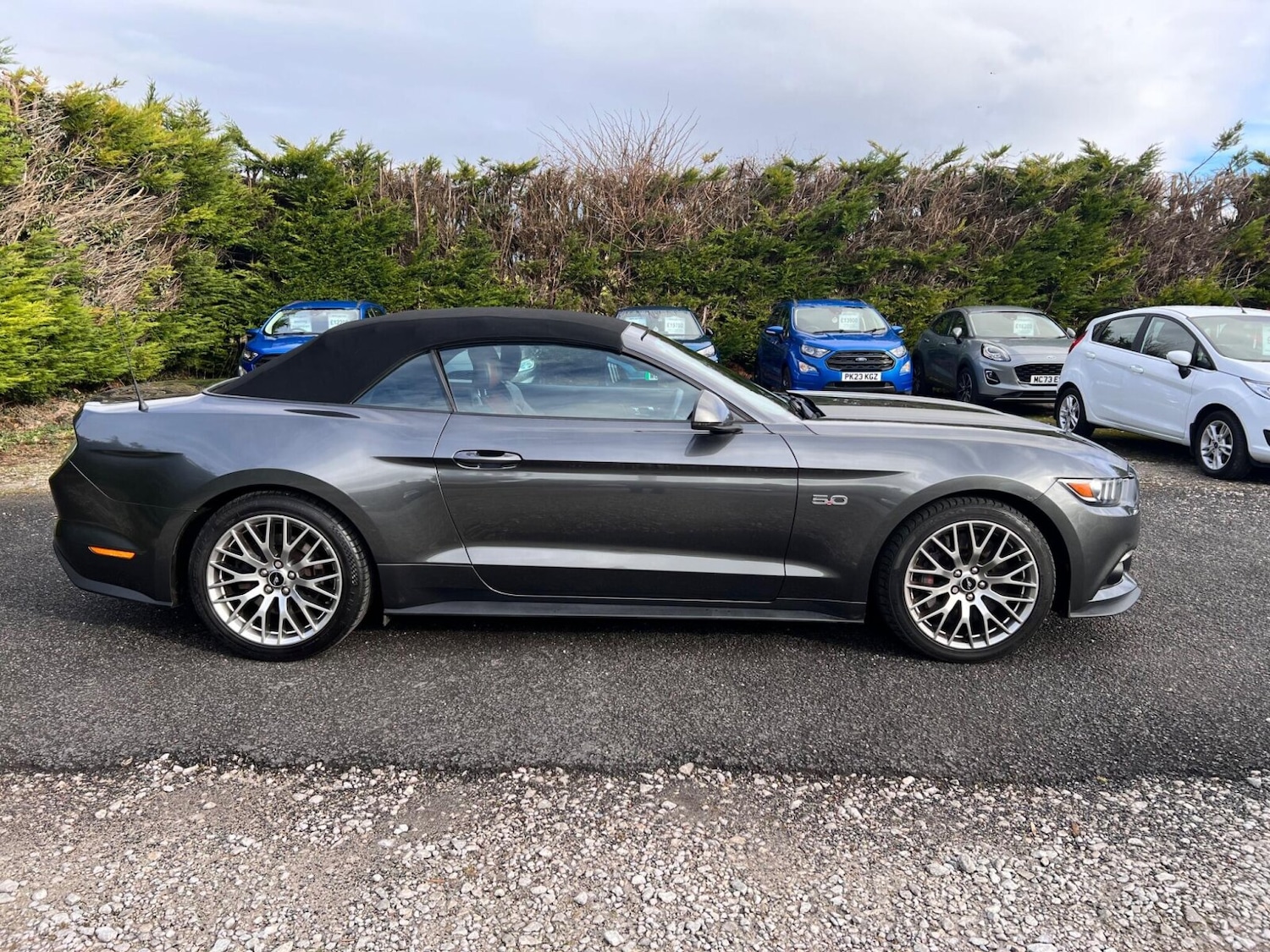 Used Ford Mustang 2016 for sale - 77504309: Photo 20