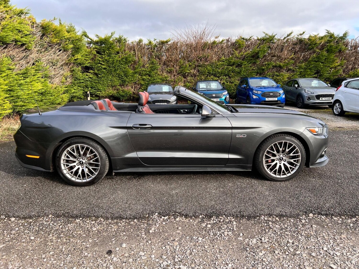 Used Ford Mustang 2016 for sale - 77504309: Photo 21