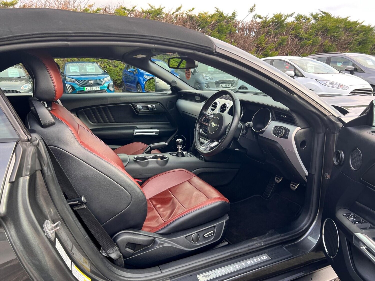 Used Ford Mustang 2016 for sale - 77504309: Photo 24