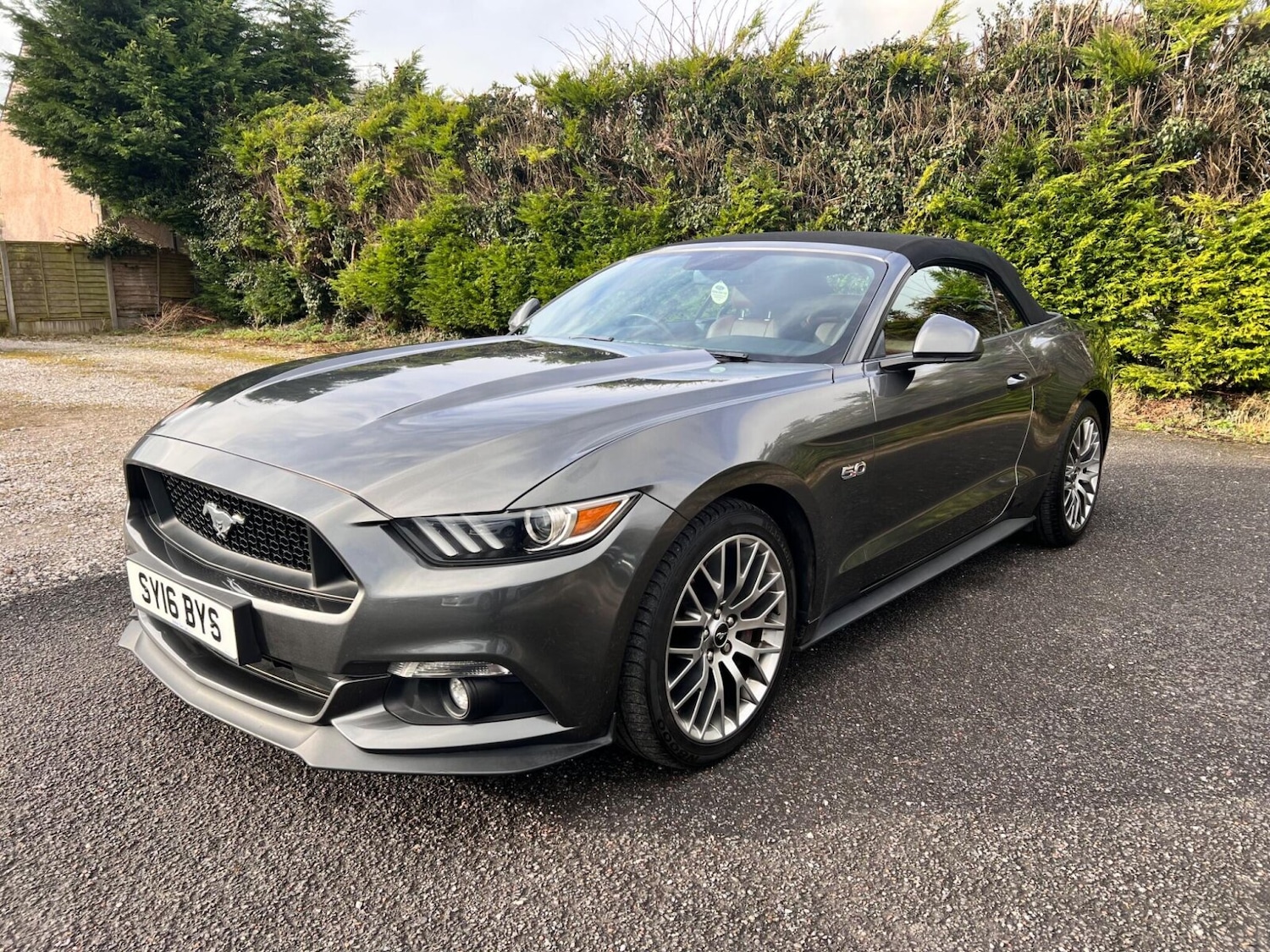 Used Ford Mustang 2016 for sale - 77504309: Photo 3