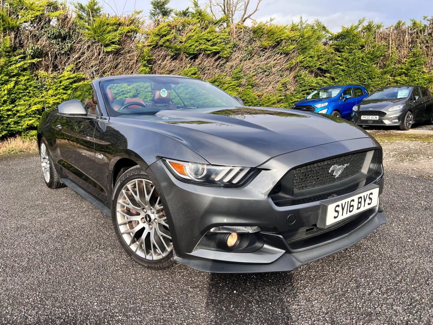 Used Ford Mustang 2016 for sale - 77504309: Photo 6