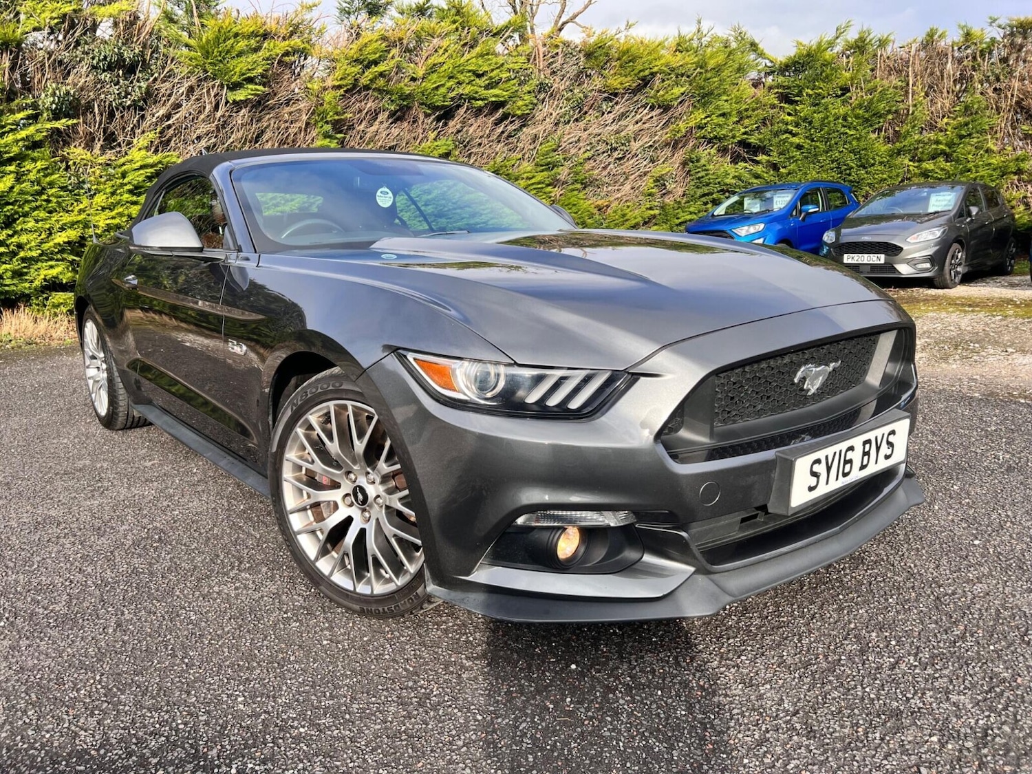 Used Ford Mustang 2016 for sale - 77504309: Photo 7