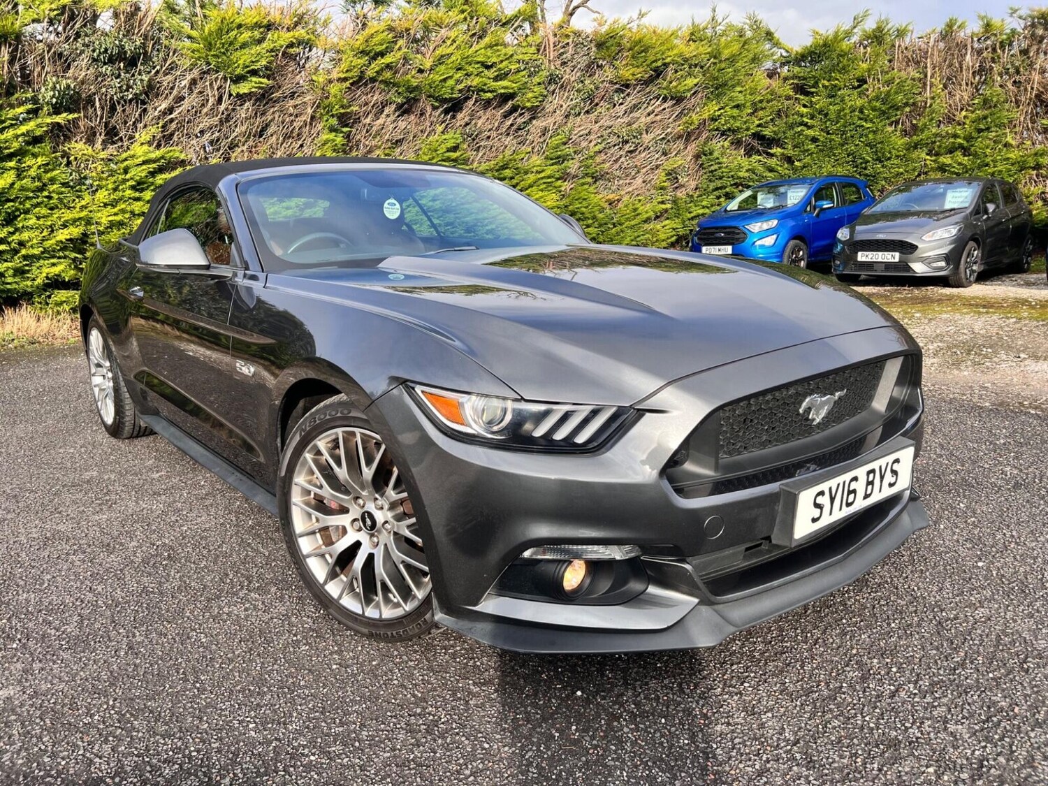 Used Ford Mustang 2016 for sale - 77504309: Photo 8
