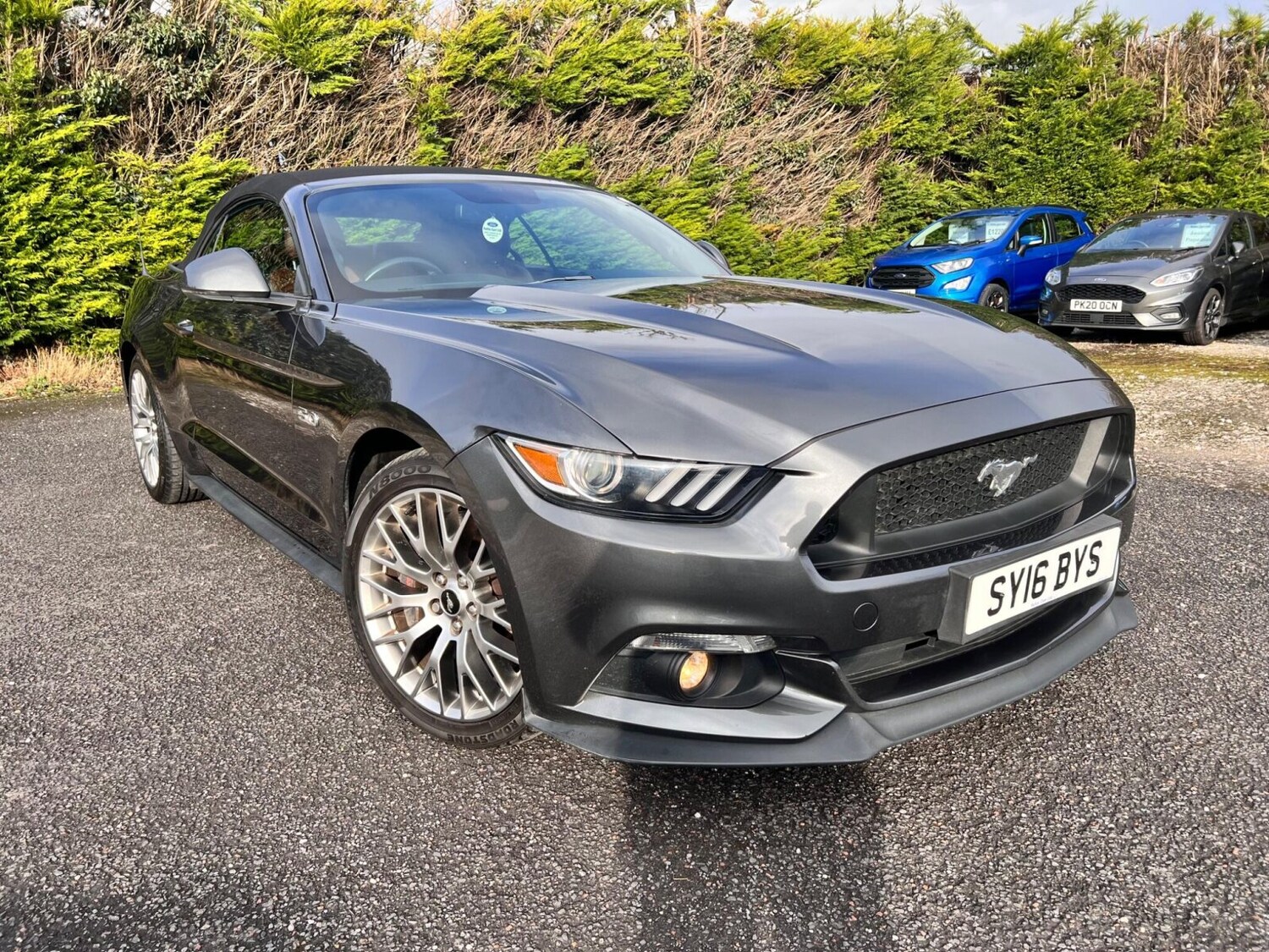 Used Ford Mustang 2016 for sale - 77504309: Photo 9