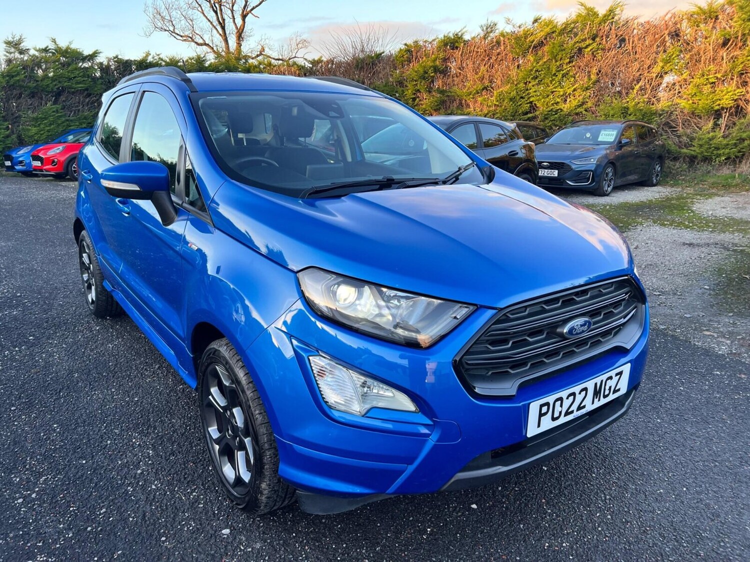 Used Ford Ecosport 2022 for sale - 77018320: Photo 19
