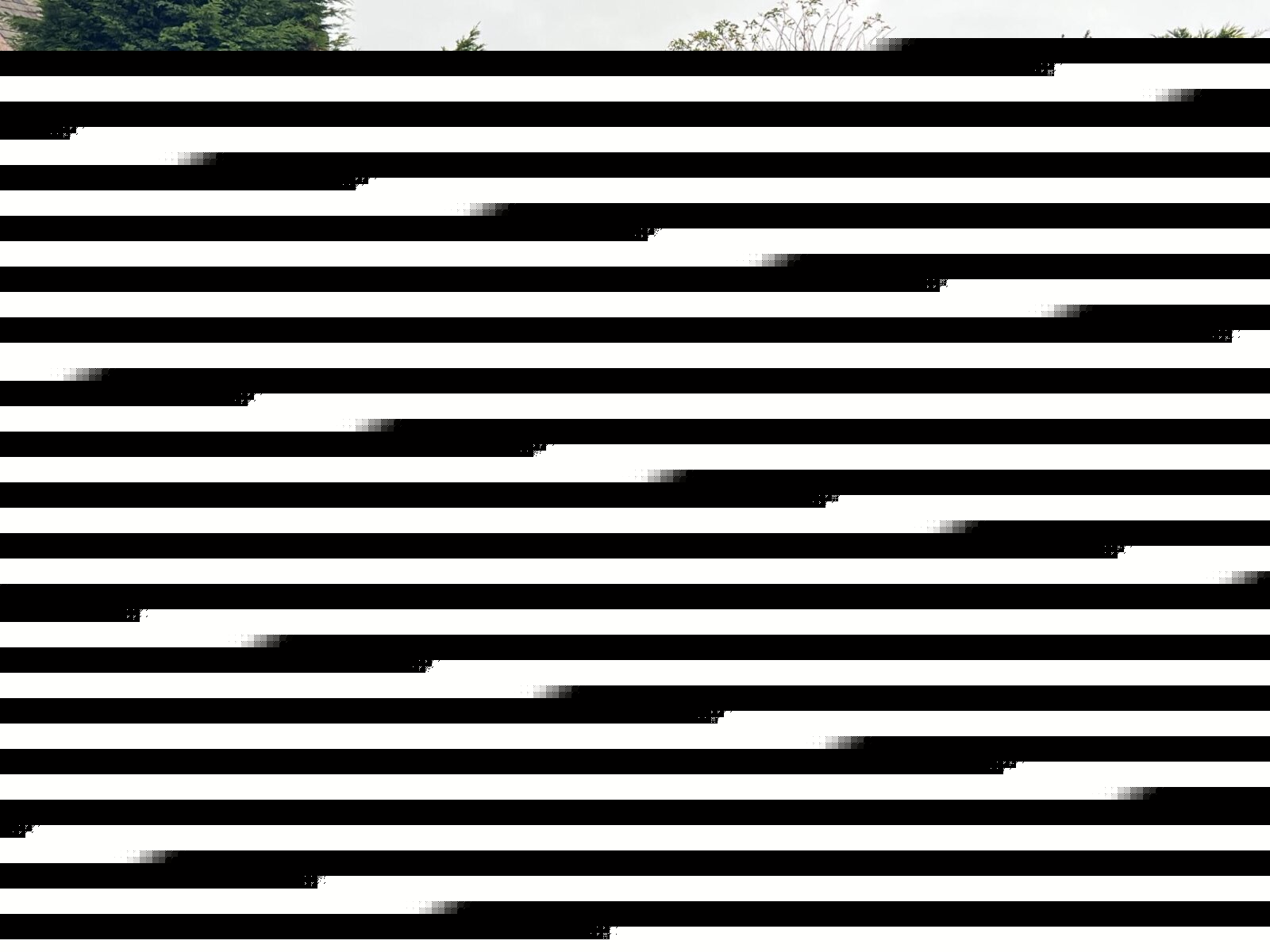 Used Ford Kuga 2024 for sale - 76458988: Photo 2