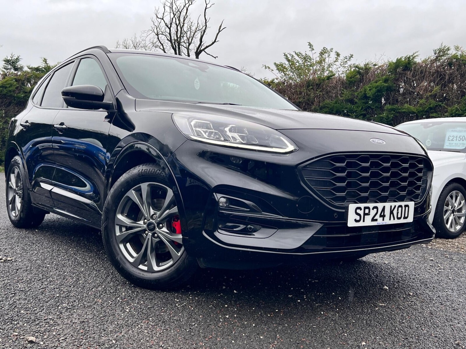 Used Ford Kuga 2024 for sale - 76458988: Photo 21