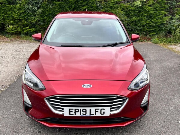 Used Ford Focus 2019 for sale - 75641175: Photo 3