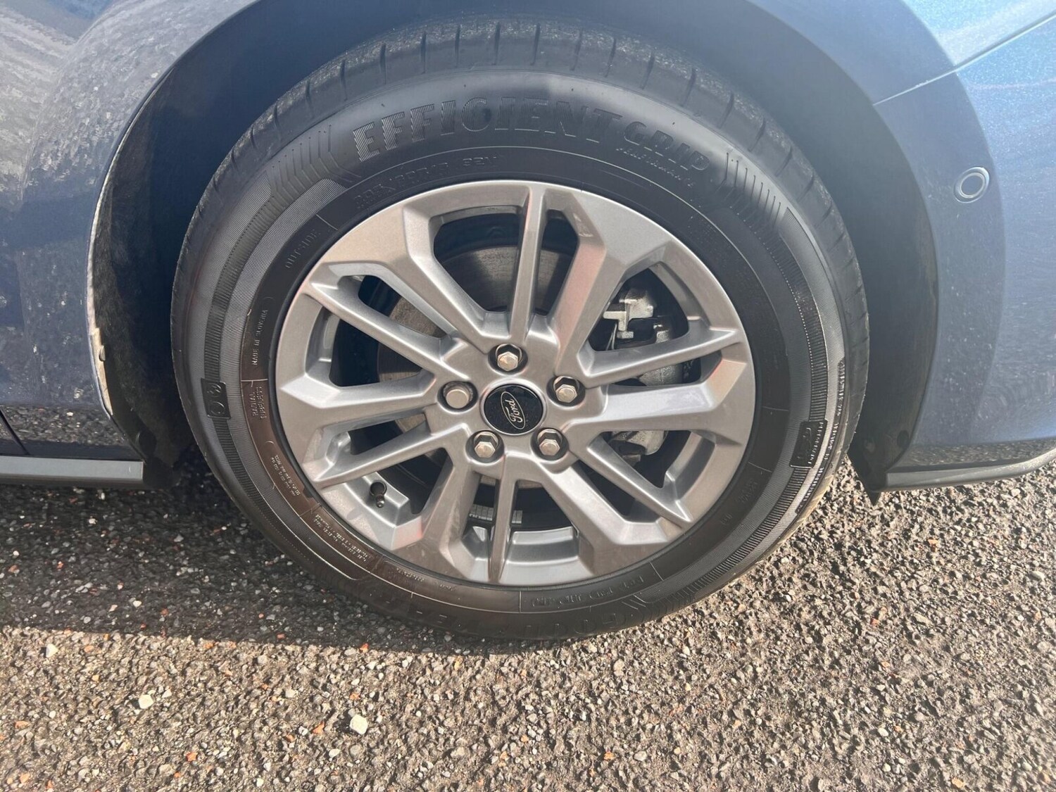 Used Ford Focus 2024 for sale - 75595787: Photo 23