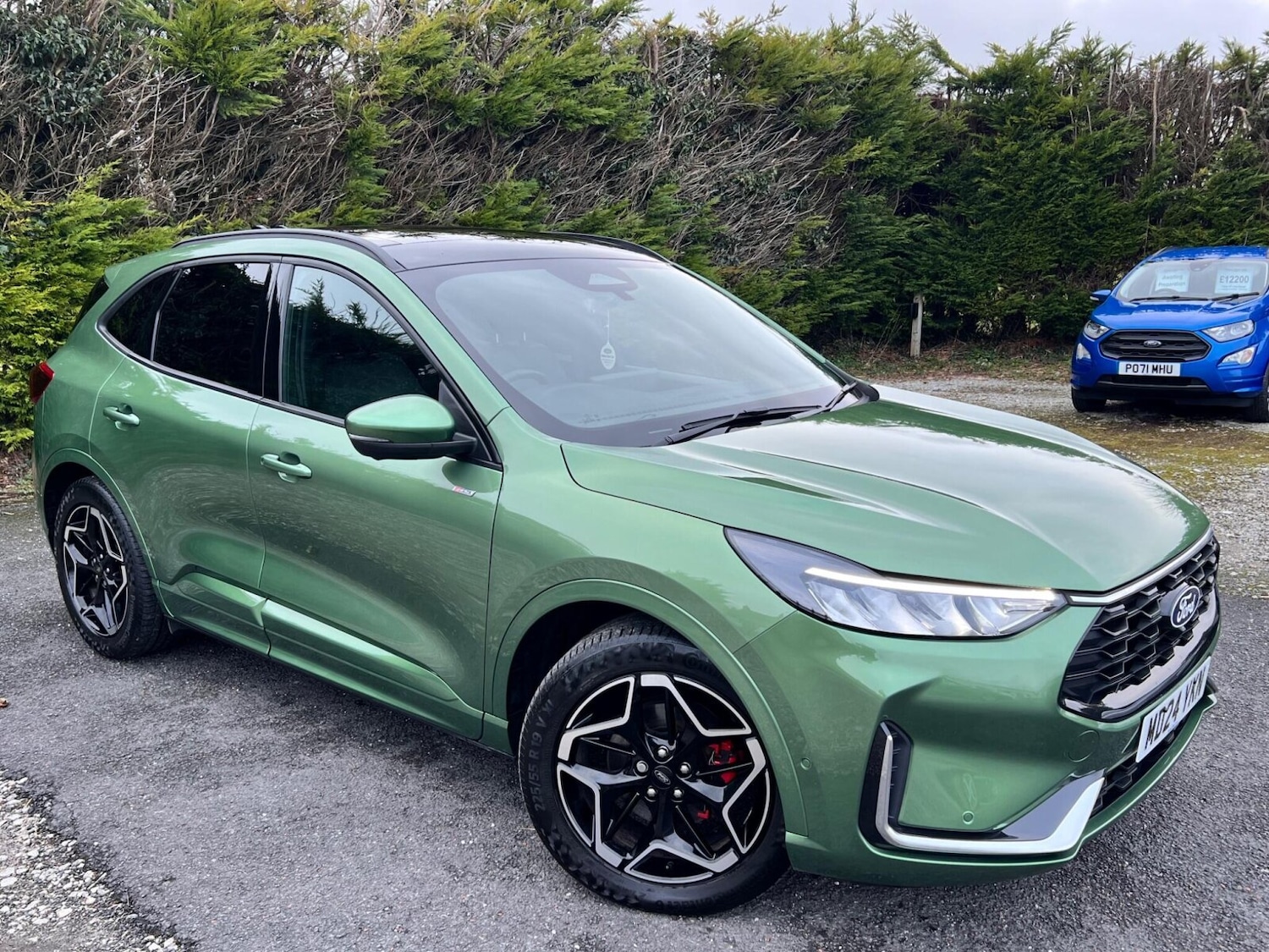 Used Ford Kuga 2024 for sale - 77393512: Photo 10