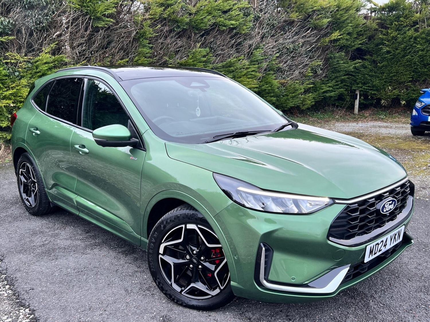 Used Ford Kuga 2024 for sale - 77393512: Photo 11