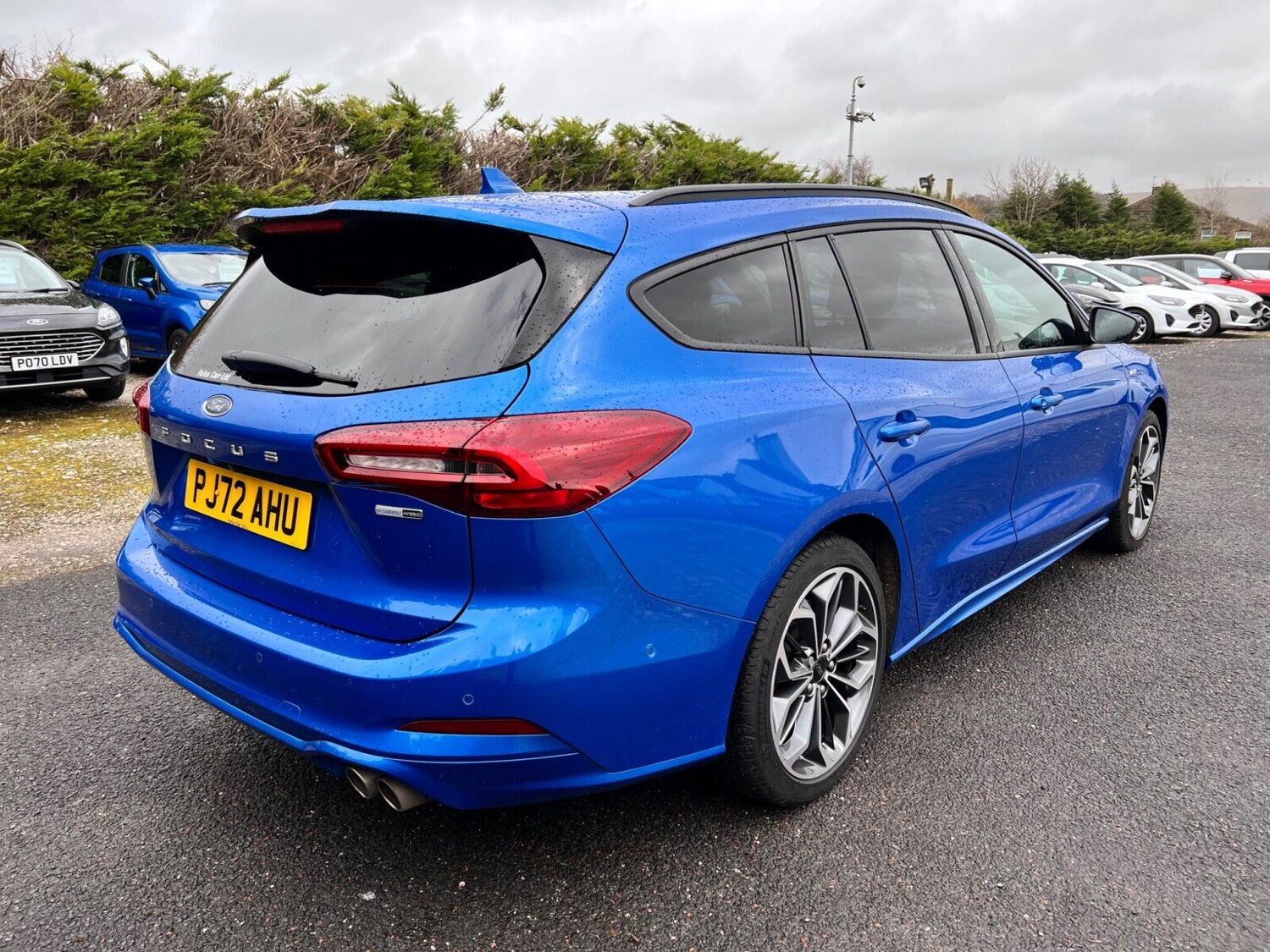 Used Ford Focus 2022 for sale - 77648137: Photo 13