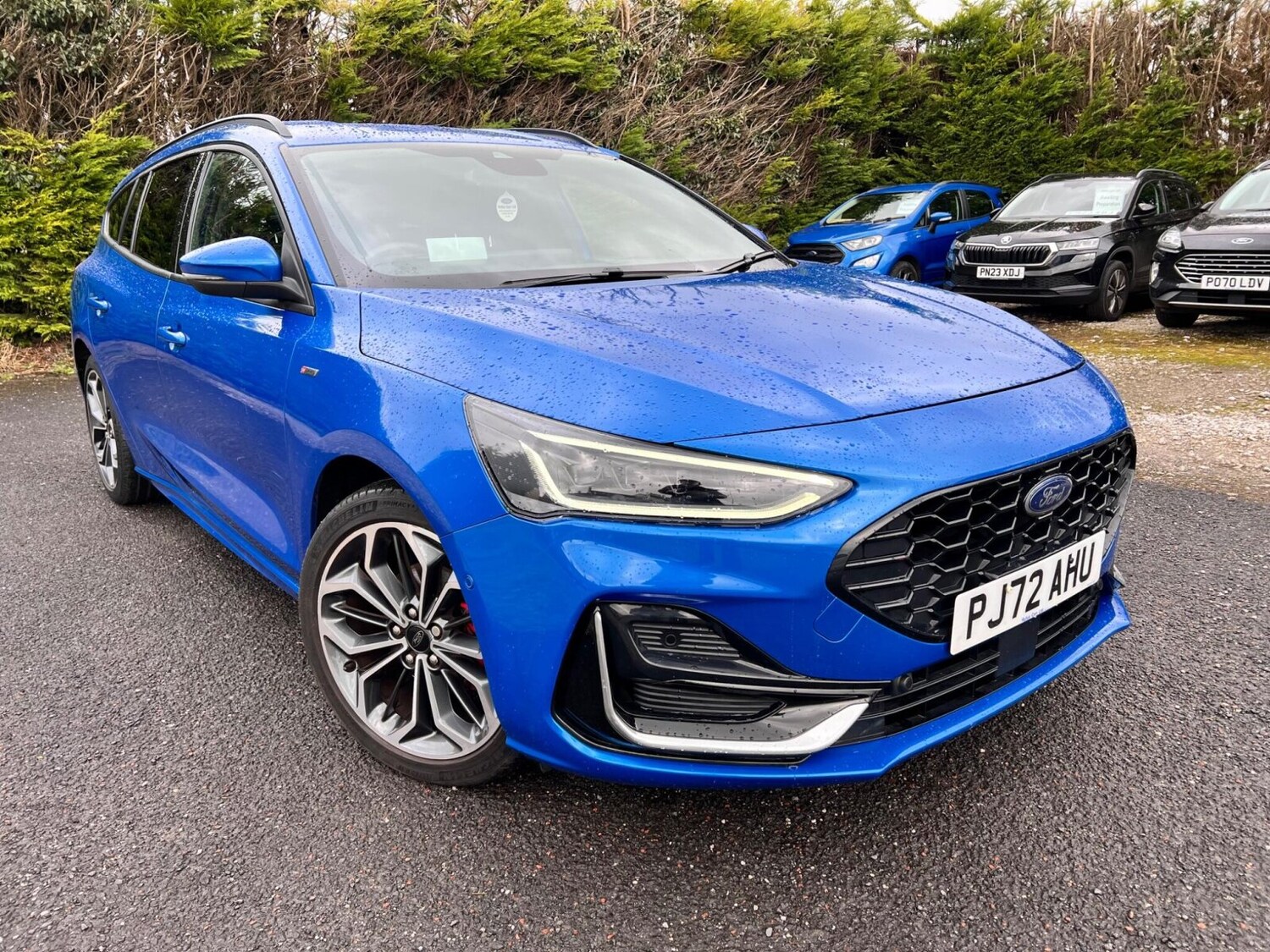 Used Ford Focus 2022 for sale - 77648137: Photo 6