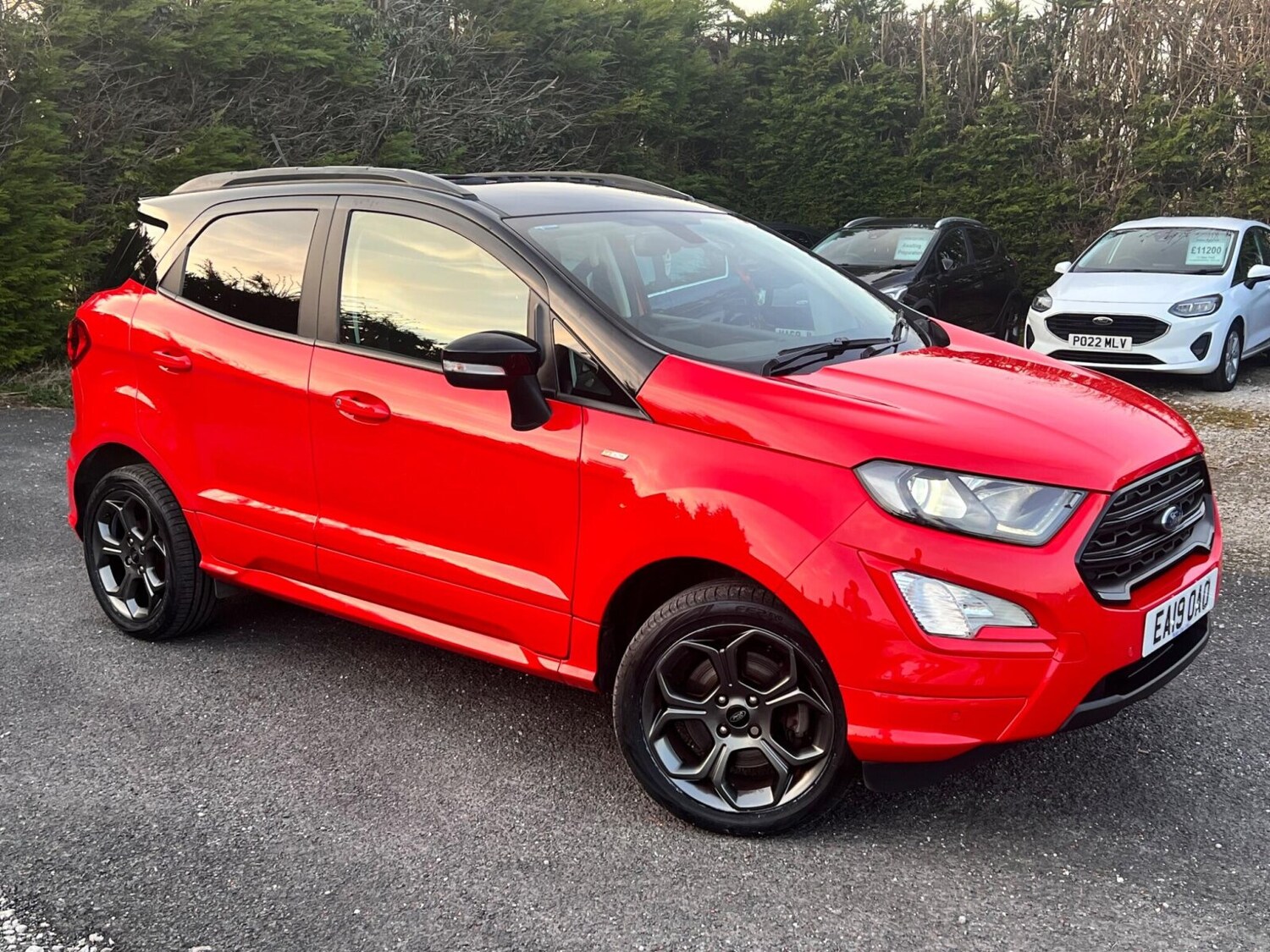 Used Ford Ecosport 2019 for sale - 77959948: Photo 6