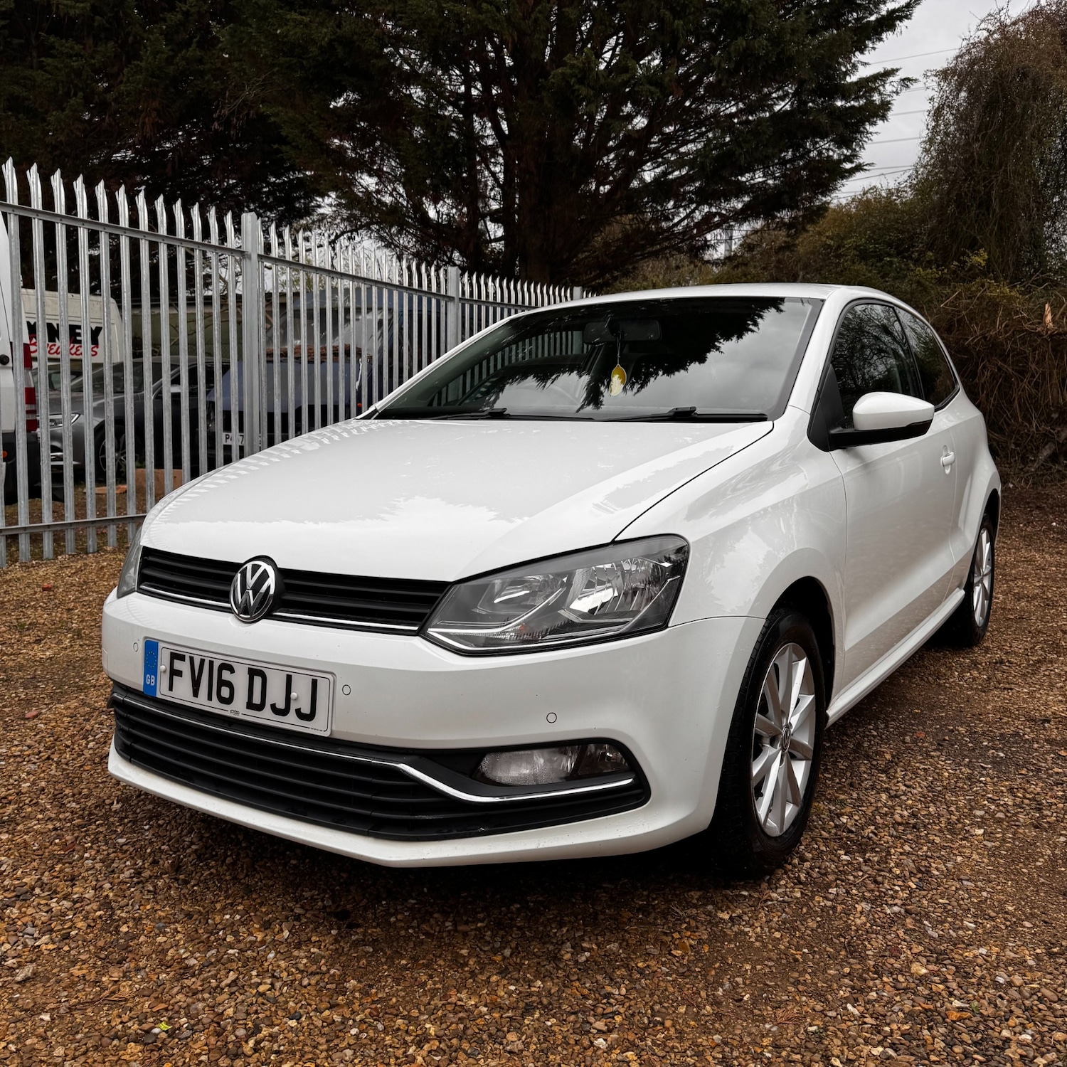 Used Volkswagen Polo 2016 for sale - 78063186: Photo 3