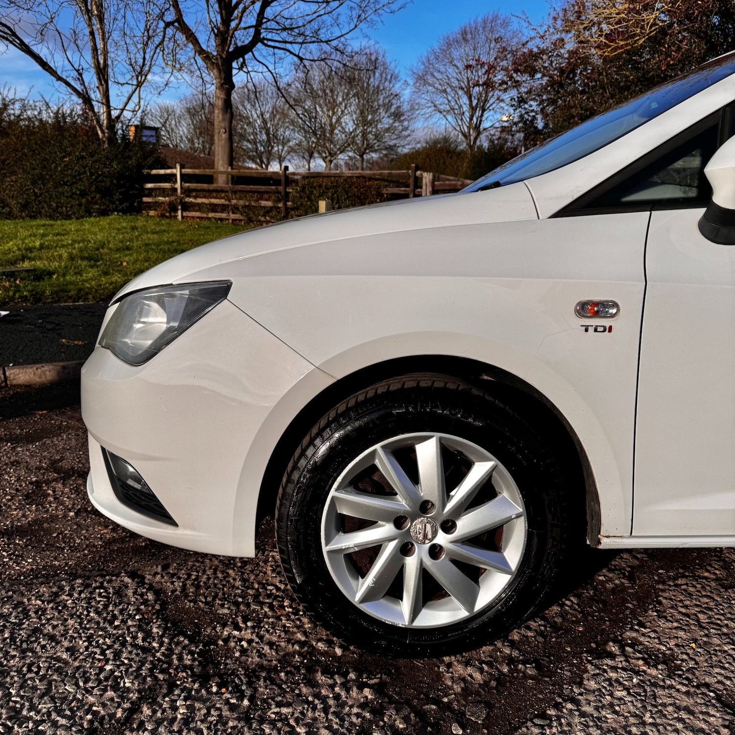 Used SEAT Ibiza 2013 for sale - 77319954: Photo 13