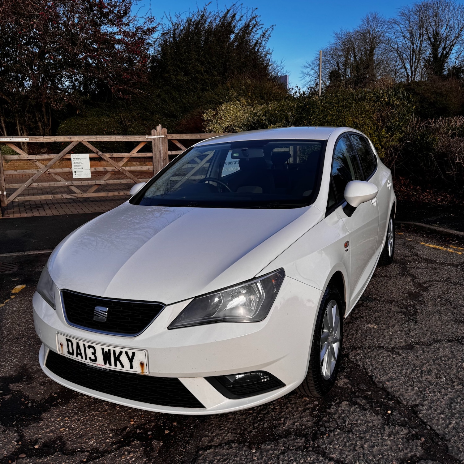 Used SEAT Ibiza 2013 for sale - 77319954: Photo 2