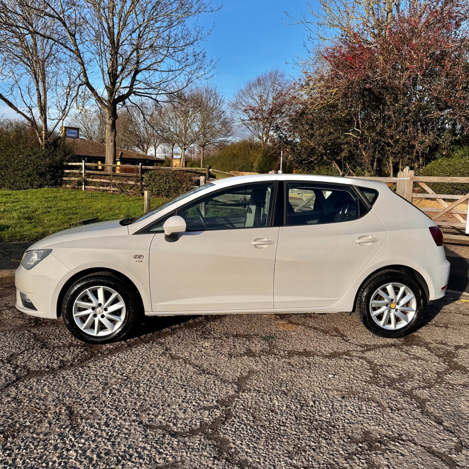 Used SEAT Ibiza 2013 for sale - 77319954: Photo 4