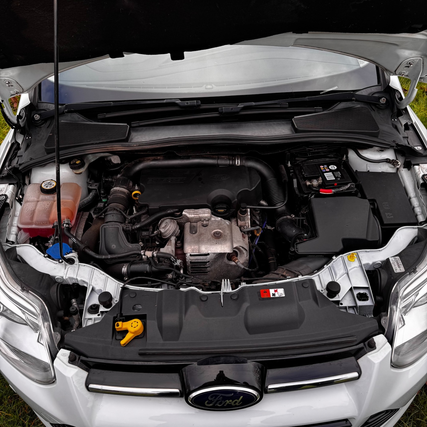 Used Ford Focus 2014 for sale - 77432667: Photo 28