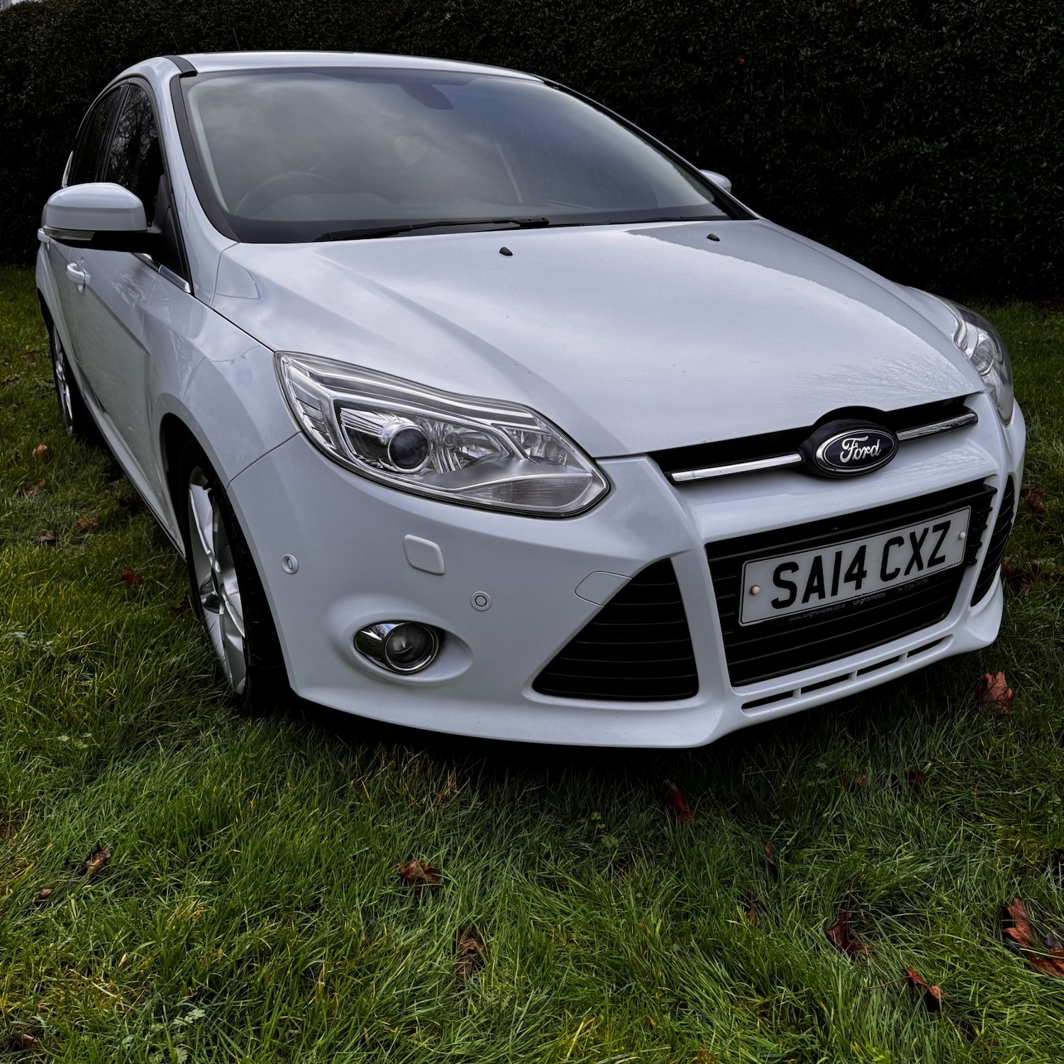 Used Ford Focus 2014 for sale - 77432667: Photo 3