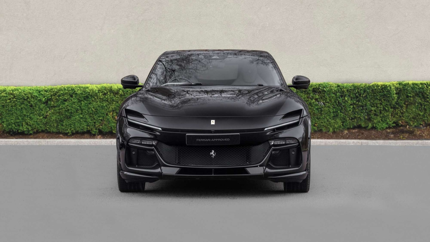 Used Ferrari Purosangue 2024 for sale - 77972937: Photo 10