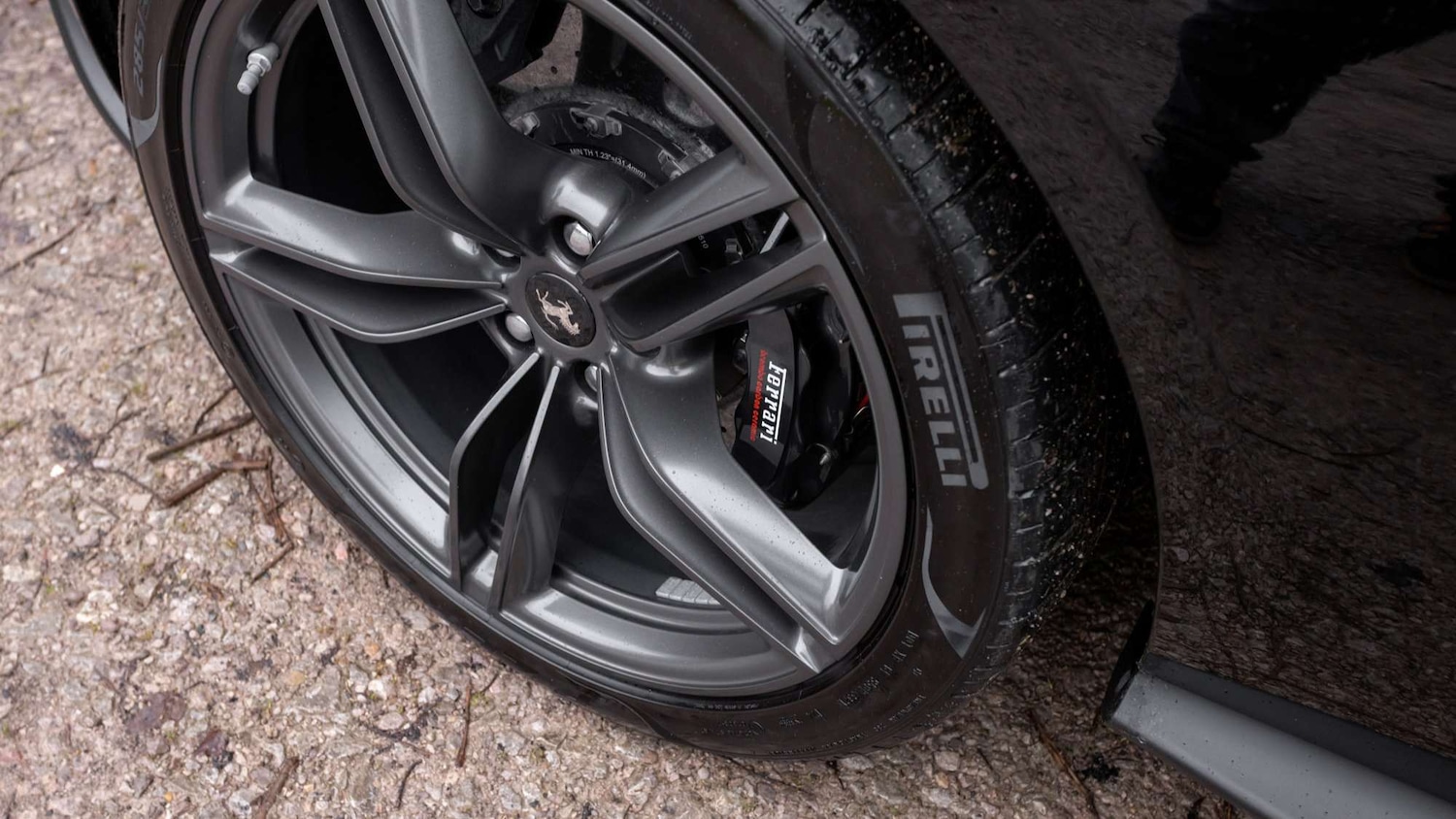 Used Ferrari Roma 2021 for sale - 77219756: Photo 28