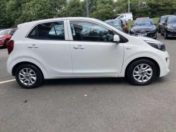 Used Kia Picanto 2017 for sale - 74905009: Photo