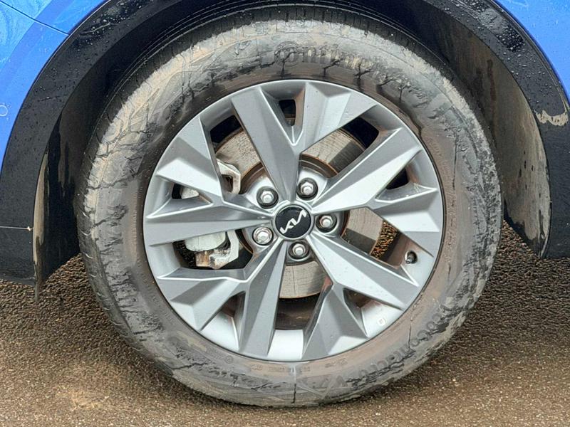 Used Kia Sportage 2025 for sale - 77187001: Photo 12