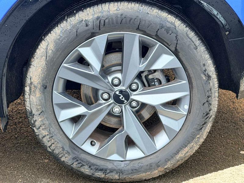 Used Kia Sportage 2025 for sale - 77187001: Photo 13