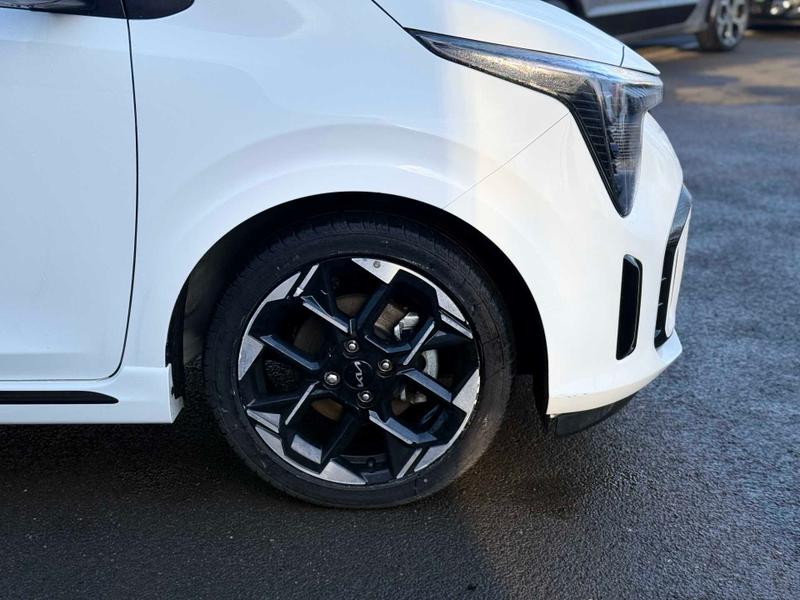 Used Kia Picanto 2025 for sale - 77529066: Photo 11