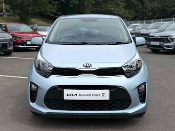 Used Kia Picanto 2019 for sale - 79141103: Photo