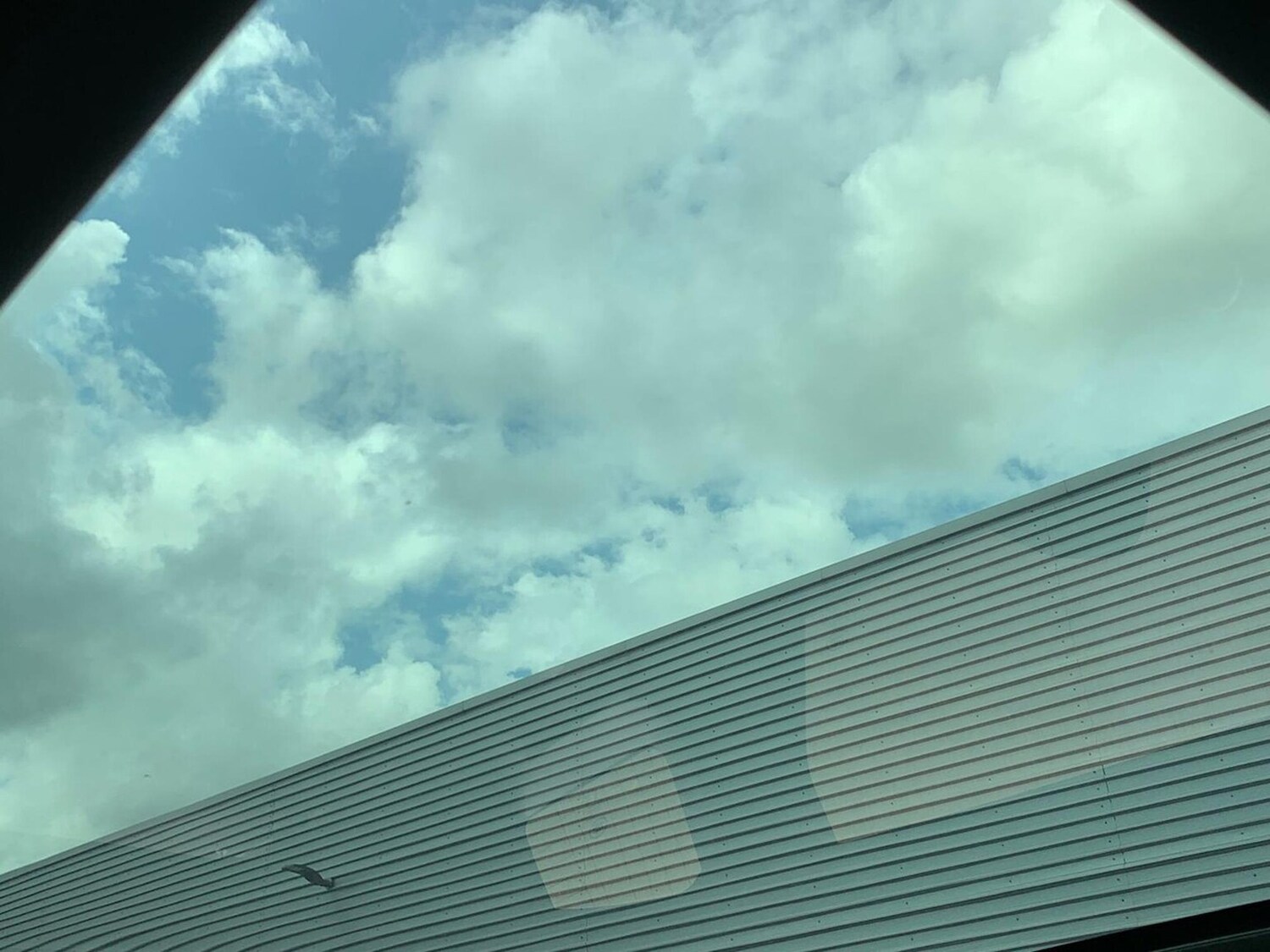 Used Land Rover Range Rover Evoque 2025 for sale - 77489428: Photo 21