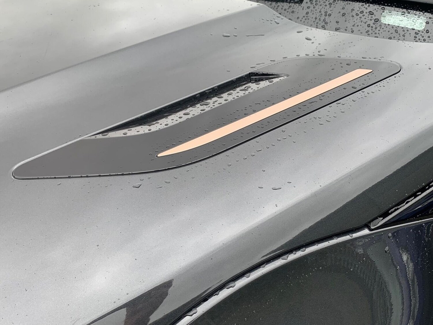 Used Land Rover Range Rover Evoque 2025 for sale - 77489460: Photo 28