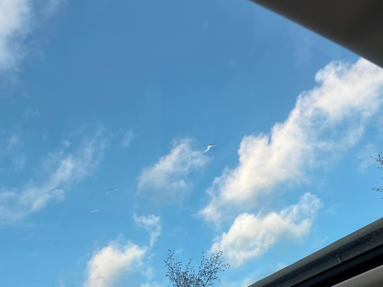 Used Land Rover Discovery Sport 2022 for sale - 77028142: Photo 21