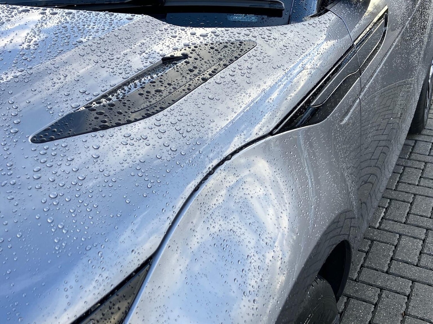 Used Land Rover Range Rover Evoque 2025 for sale - 77715360: Photo 20