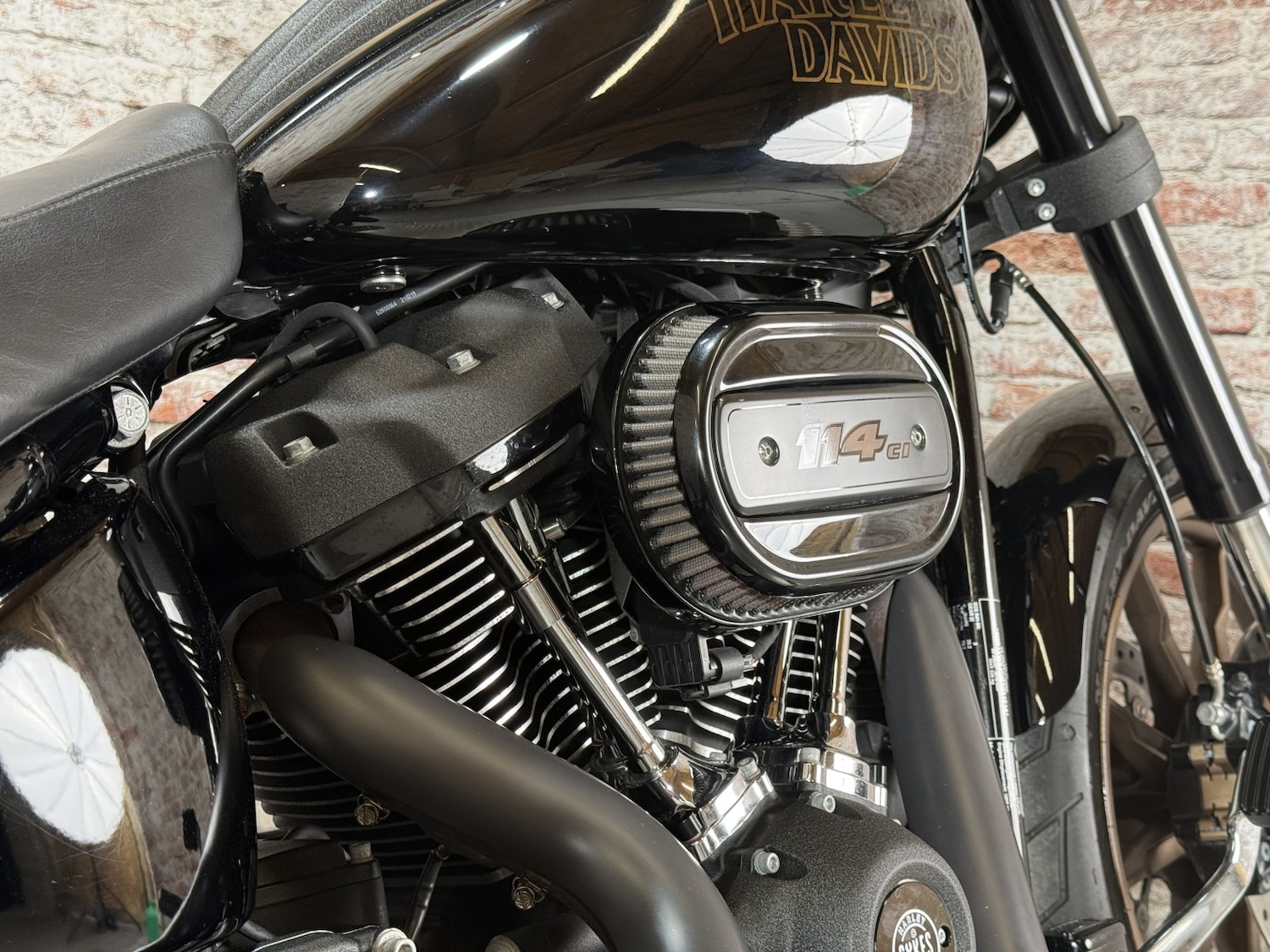 Used Harley-Davidson SOFTAIL LOW 2021 for sale - 78402541: Photo 40