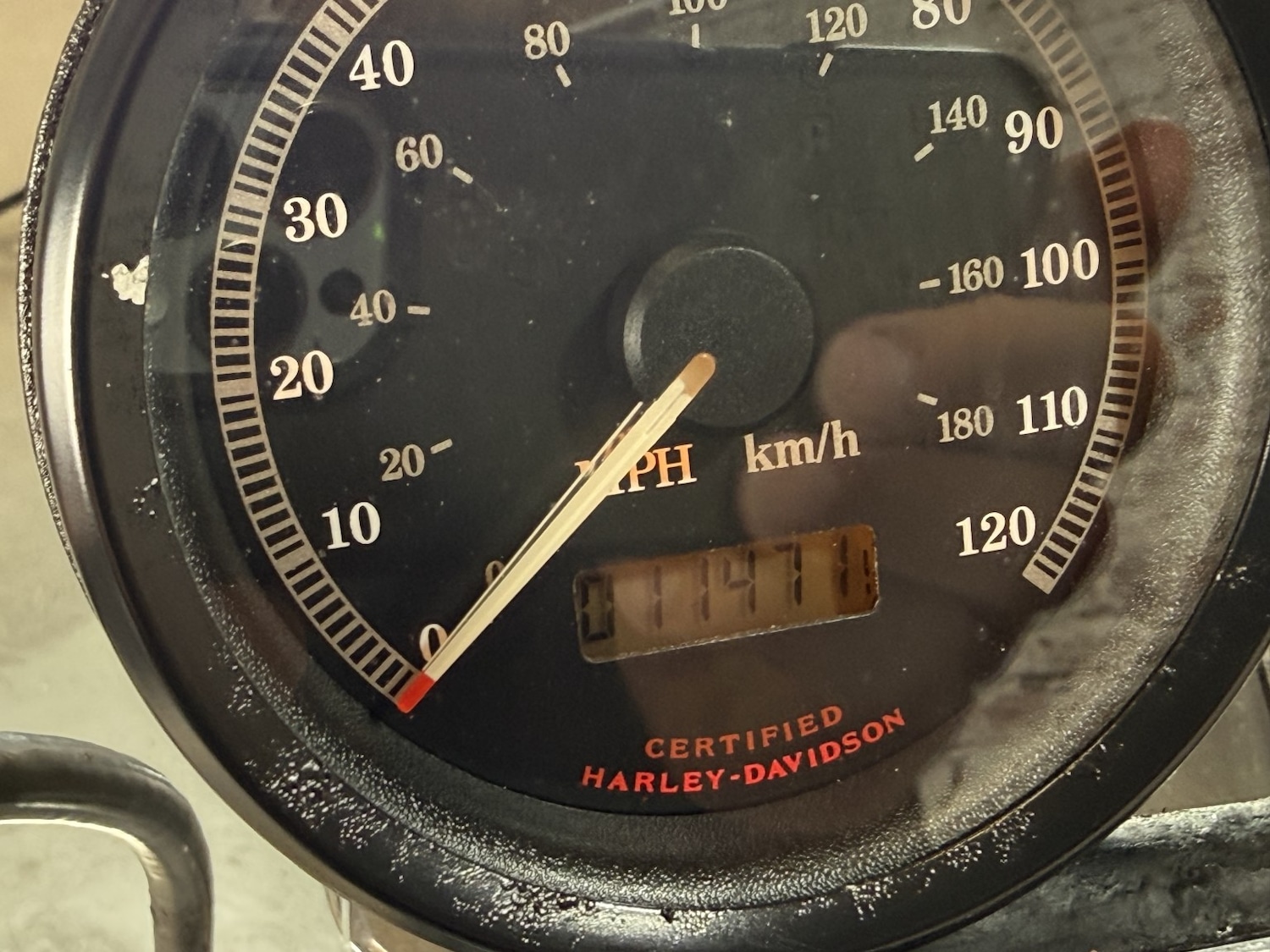 Used Harley-Davidson Sportster 2002 for sale - 78813396: Photo 23