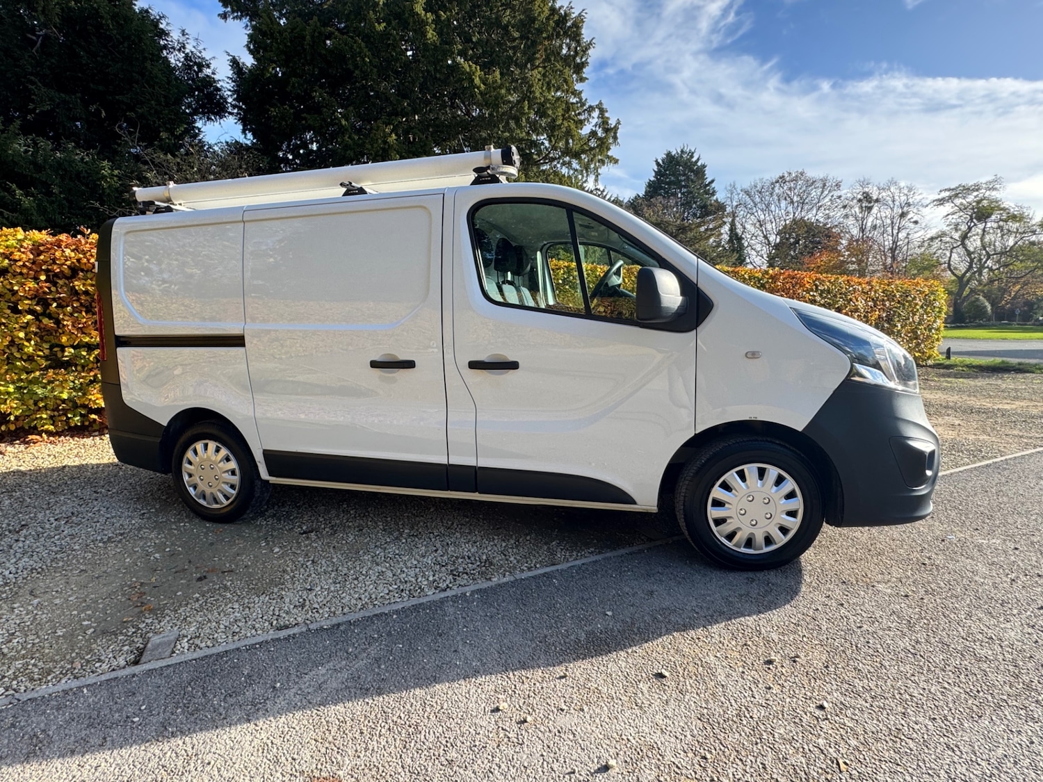 Used Vauxhall Vivaro 2018 for sale - 76440056: Photo 2