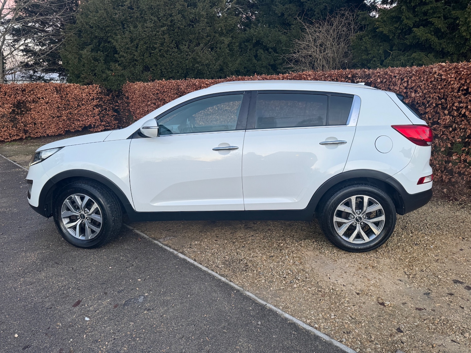 Used Kia Sportage 2015 for sale - 77237204: Photo 3
