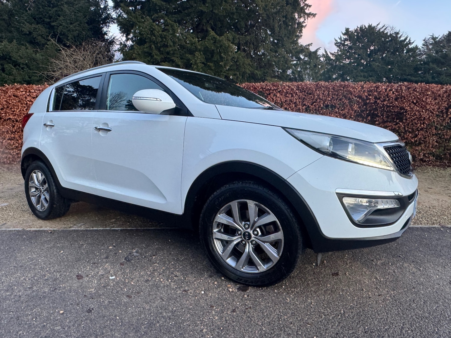 Used Kia Sportage 2015 for sale - 77237204: Photo 8