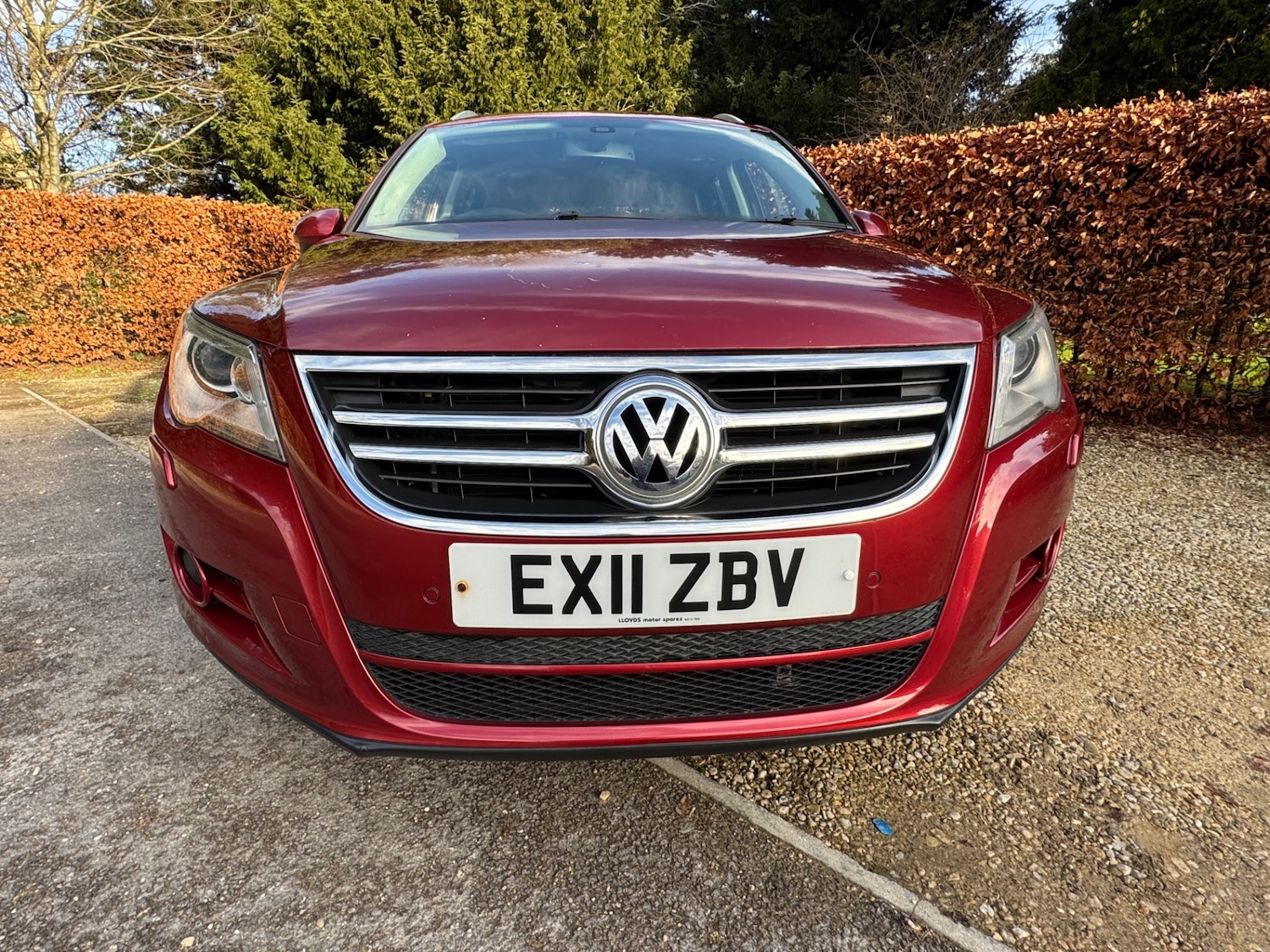 Used Volkswagen Tiguan 2011 for sale - 76963604: Photo 14