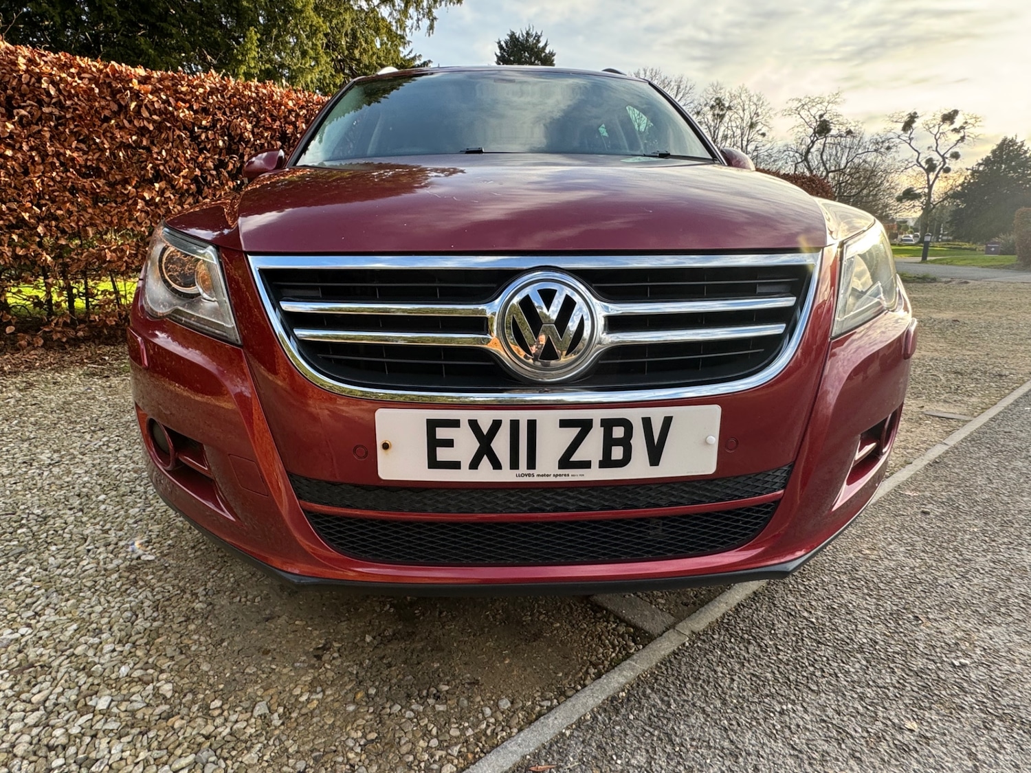 Used Volkswagen Tiguan 2011 for sale - 76963604: Photo 7