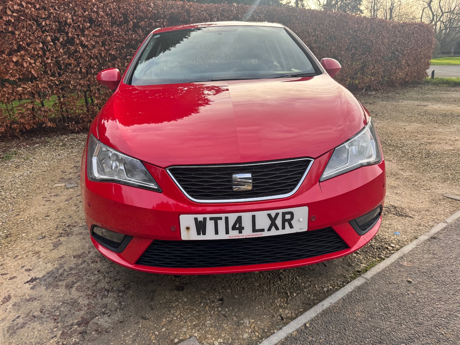 Used SEAT Ibiza 2014 for sale - 76963660: Photo 5
